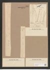 Synedra ulna var. longissima (W. Sm.) Brun. (de-Toni-Nr.: Genus 66, Species 2584) Zeichnungen Sammlung Grunow Nr. 5207 (NHMW-BOT-W0373573)